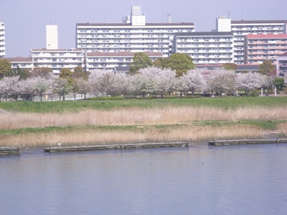RIMG0214.JPG