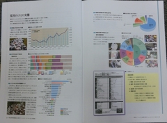 2012annual1.JPG
