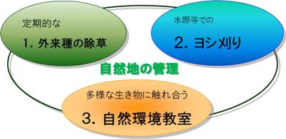 101020komatsugawa.jpg