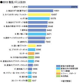 graph2013_1rank256.JPG