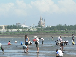 pic1(summer).JPG