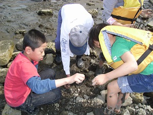 0919imagepic