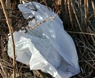 pic2_bag150