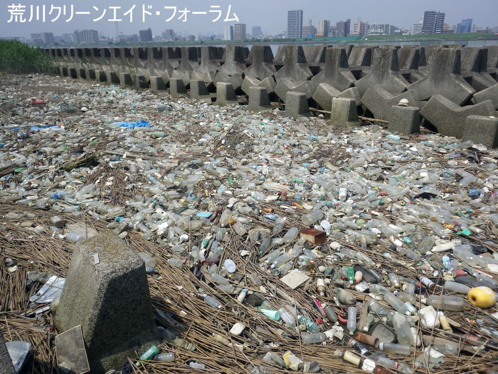 nairi_toeikaryu